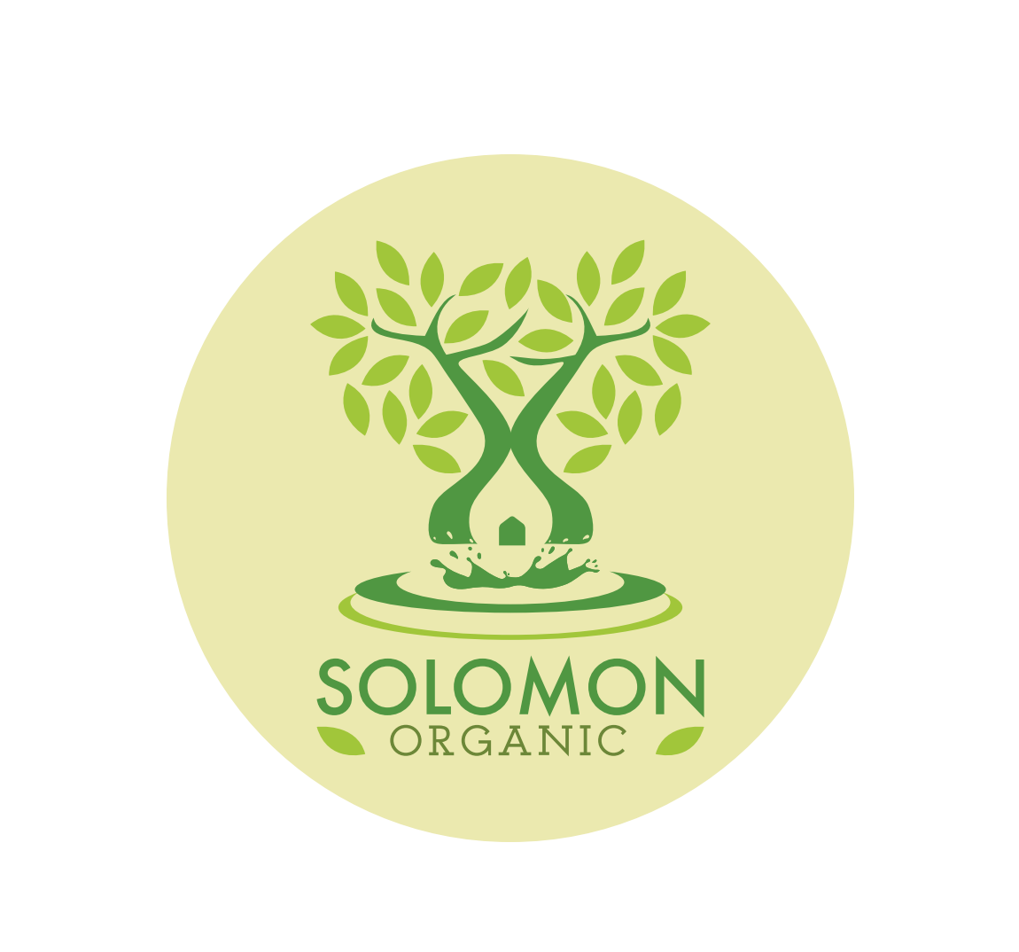 SOLOMON  - SOLOMON INTERNATIONAL  LIMITED COMPANY